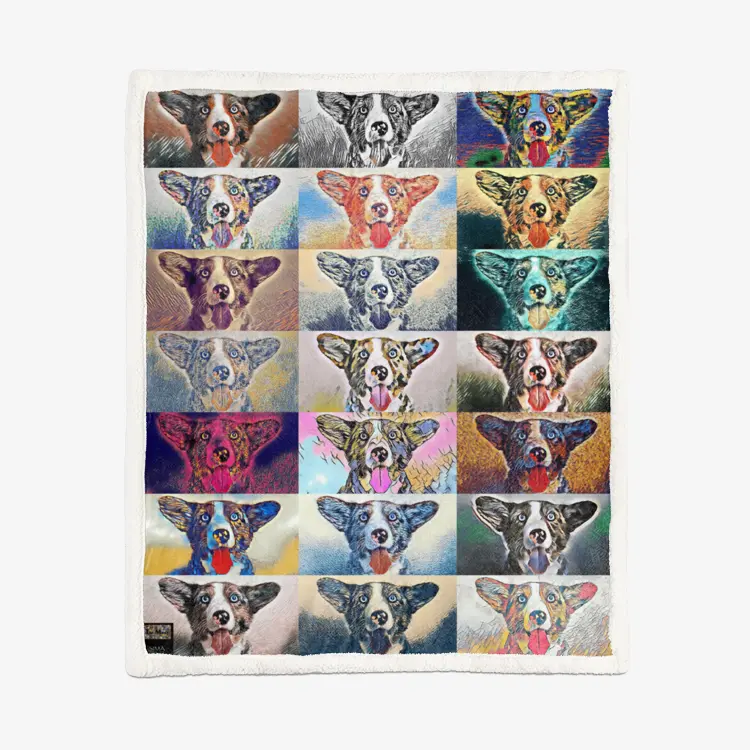 50"x60" Double-Sided Super Soft Plush Blanket - Club 99 Printy6