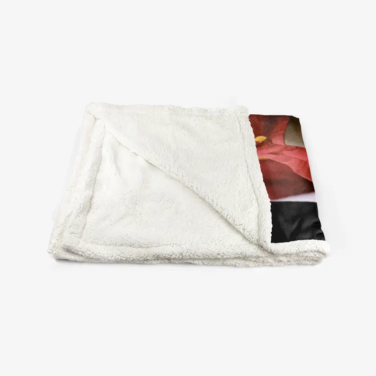 50"x60" Double-Sided Super Soft Plush Blanket - USC Football (9) - Reggie Bush Printy6